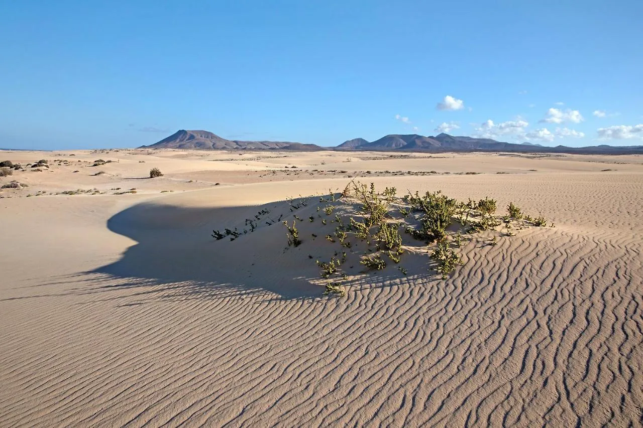 Villa Brisamar19 Corralejo Spanien